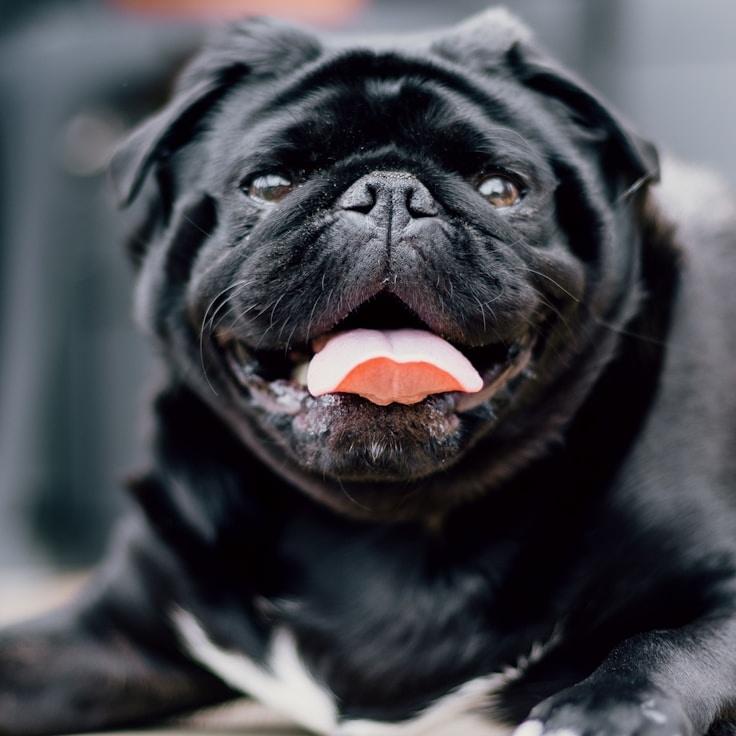Portrait of Ananya meditation instructor